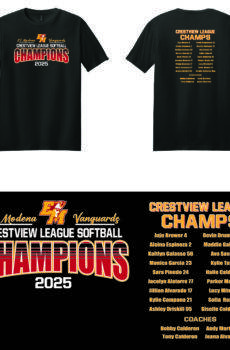 T-SHIRT Softball League Champs 2025
